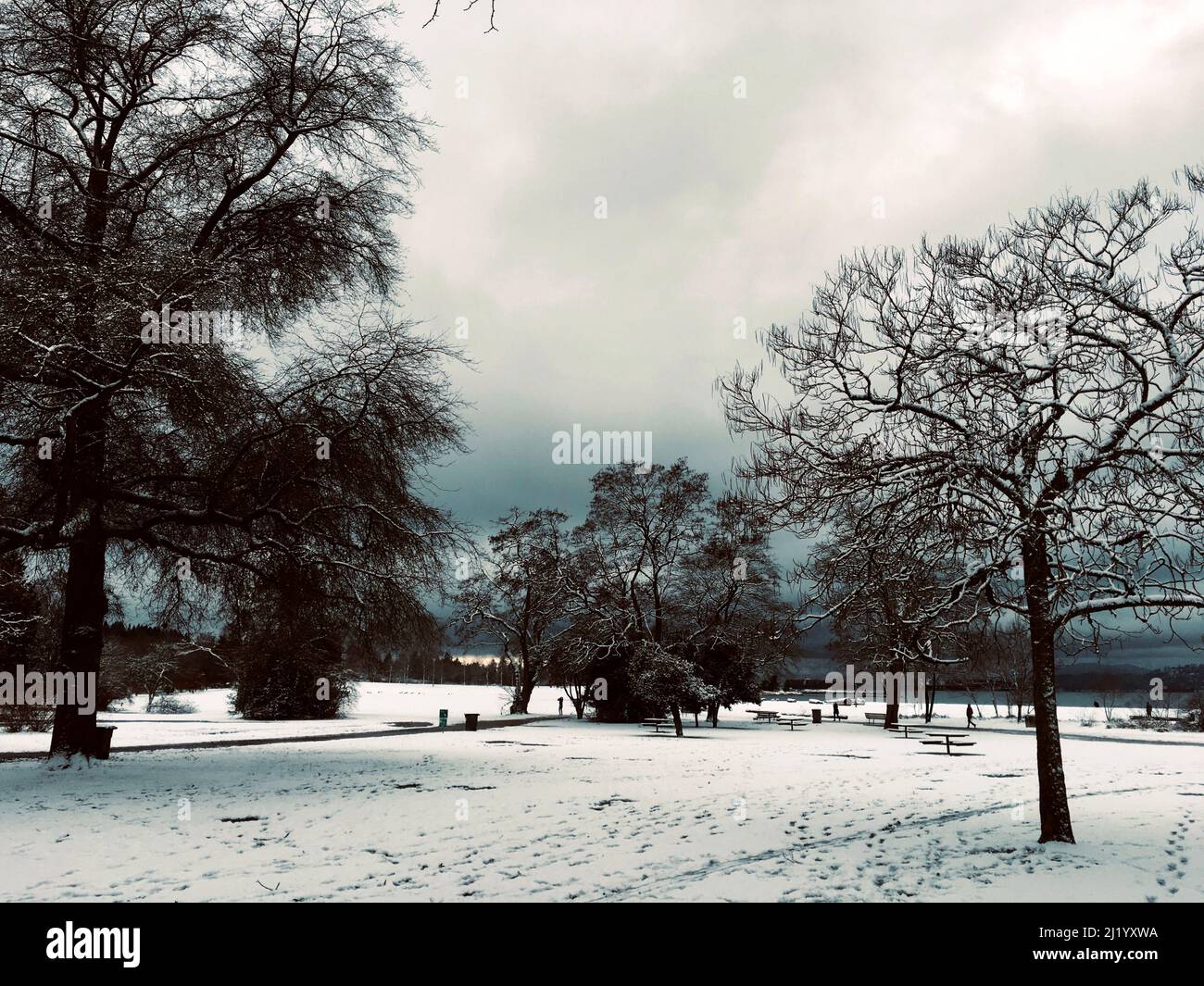 Paesaggio innevato parco, spiaggia di Gerico Foto Stock