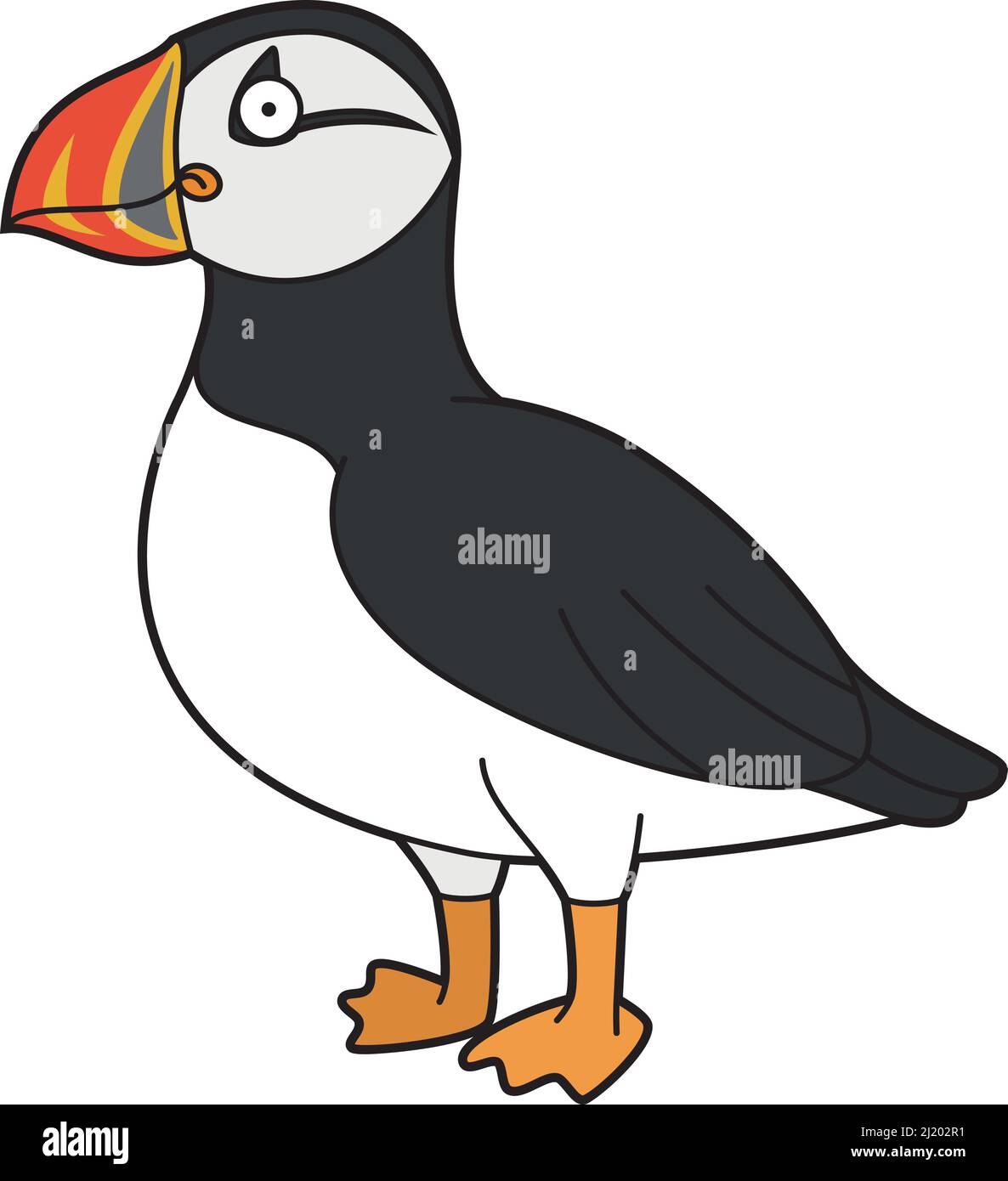 Carino cartoon vettore illustrazione di un puffin Illustrazione Vettoriale