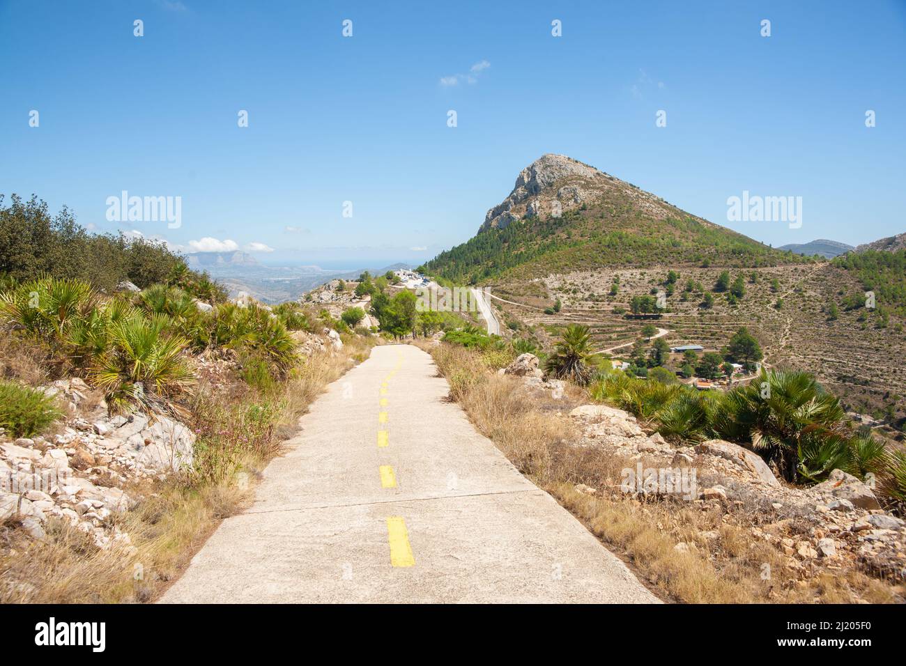 Stretta strada collinare in cemento con linea centrale punteggiata di giallo tra palme e terrazze verso la cima della collina nella gamma col de Rates in Spagna. Foto Stock