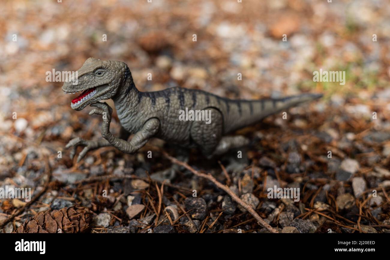 Piccolo dinosauro giocattolo in piedi in ghiaia fuori pronto per essere giocato con come lui è un giocattolo di bambino. Foto Stock