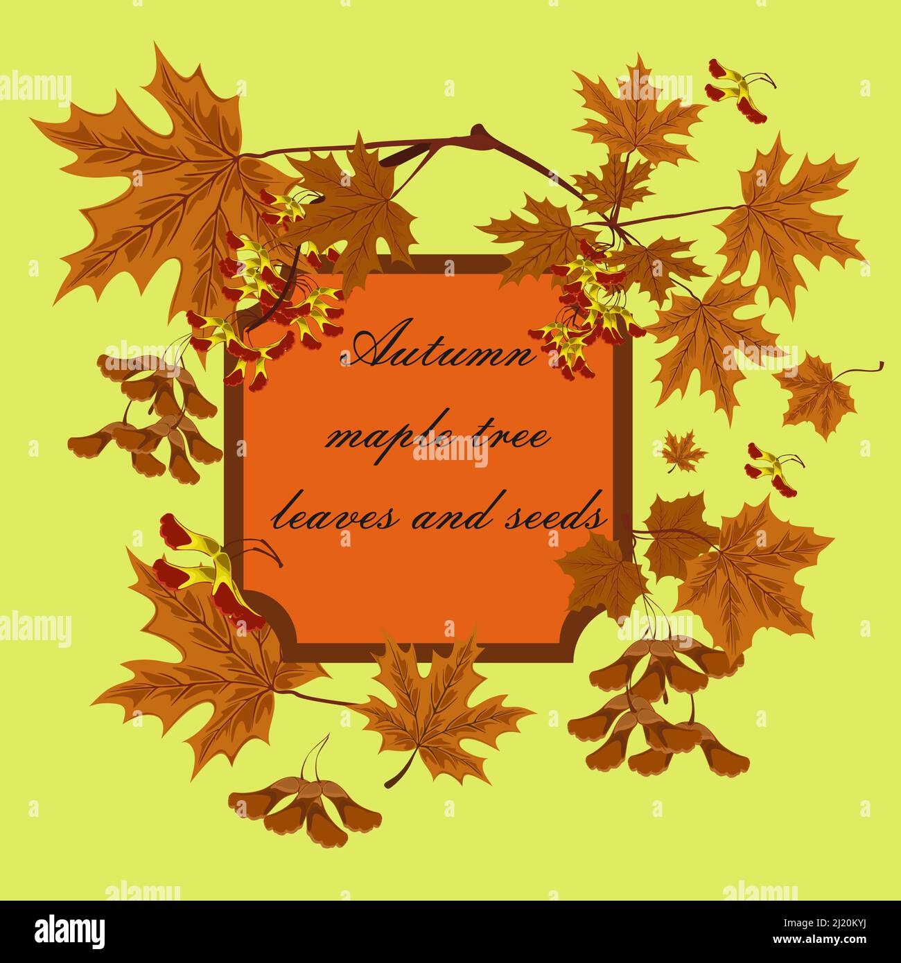 Ramo, semi e foglie di acero. Foglie d'acero d'autunno. Concetto di cornice autunnale o sfondo con foglie di acero. Illustrazione Vettoriale