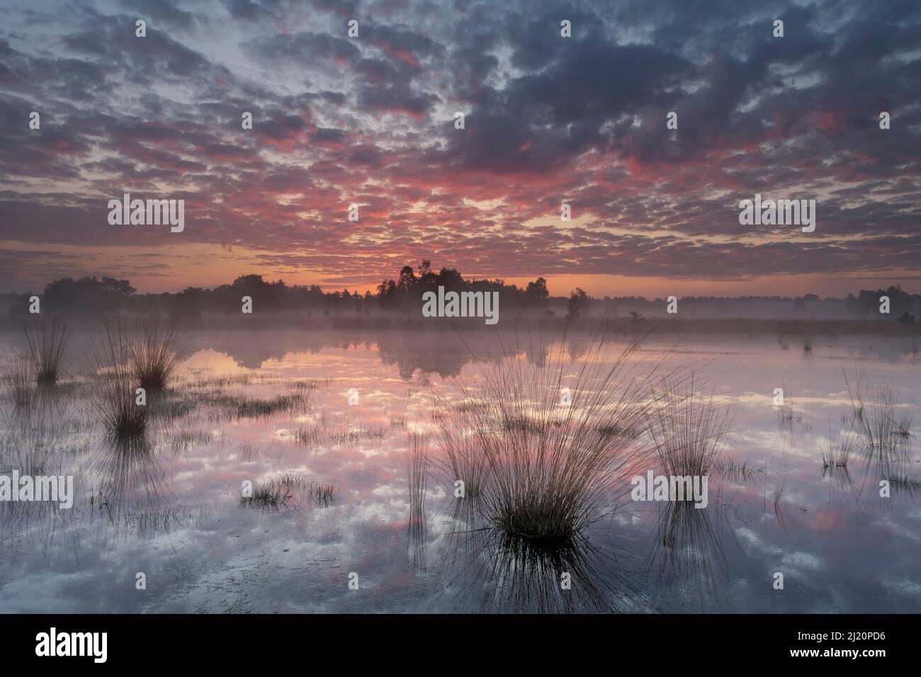 Alba su Klein Schietveld, Brasschaat, Belgio. Maggio Foto Stock