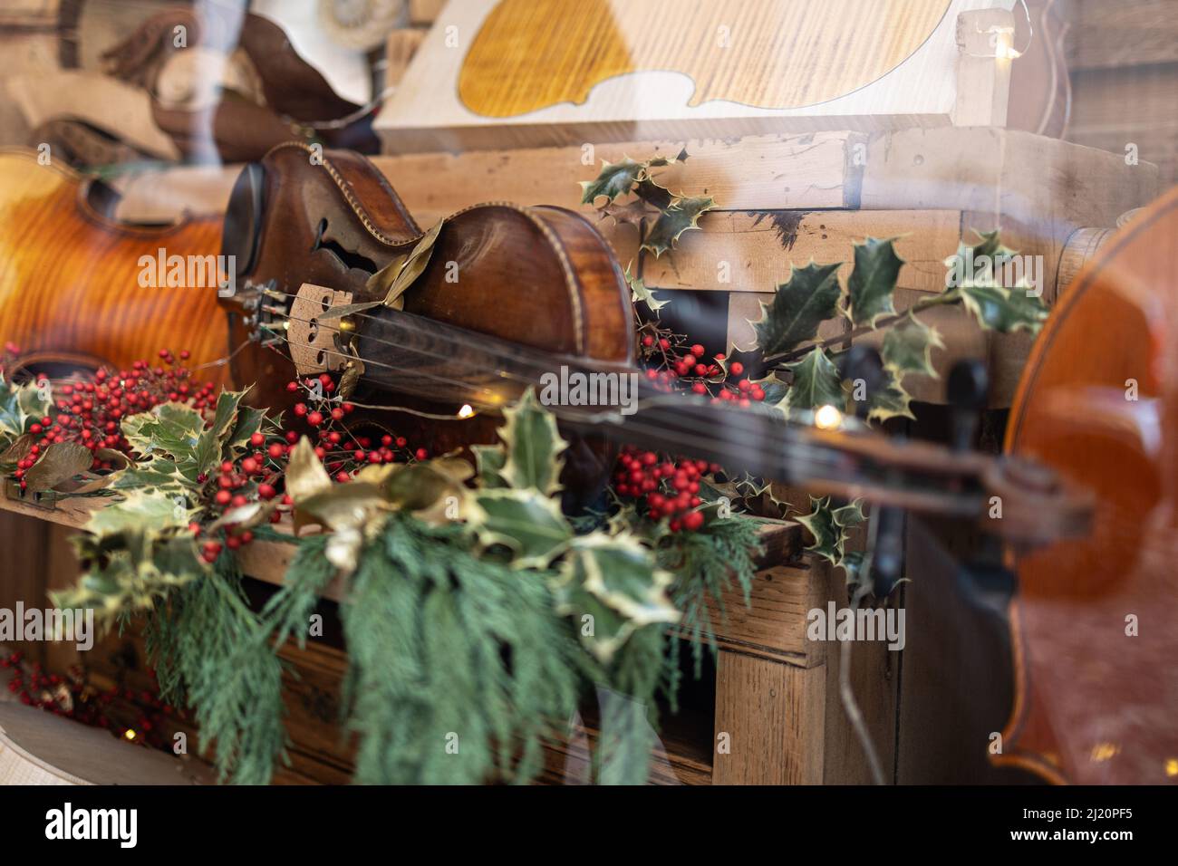 Violino artigianale su ripiano in legno decorato con pianta di macelleria. Foto Stock