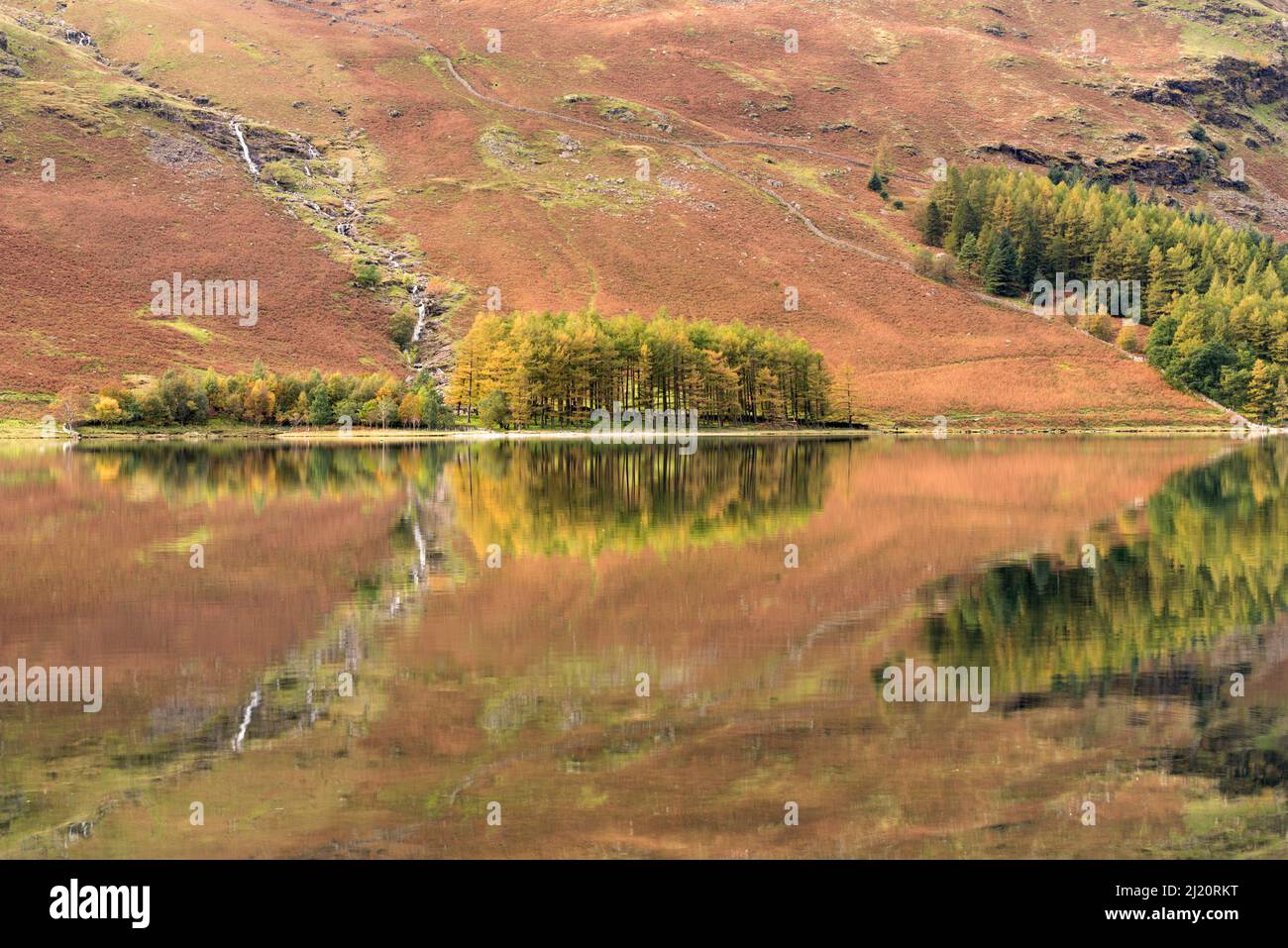 Buttermere Reflections, Cumbria, The Lake District, Regno Unito. Novembre 2016 Foto Stock