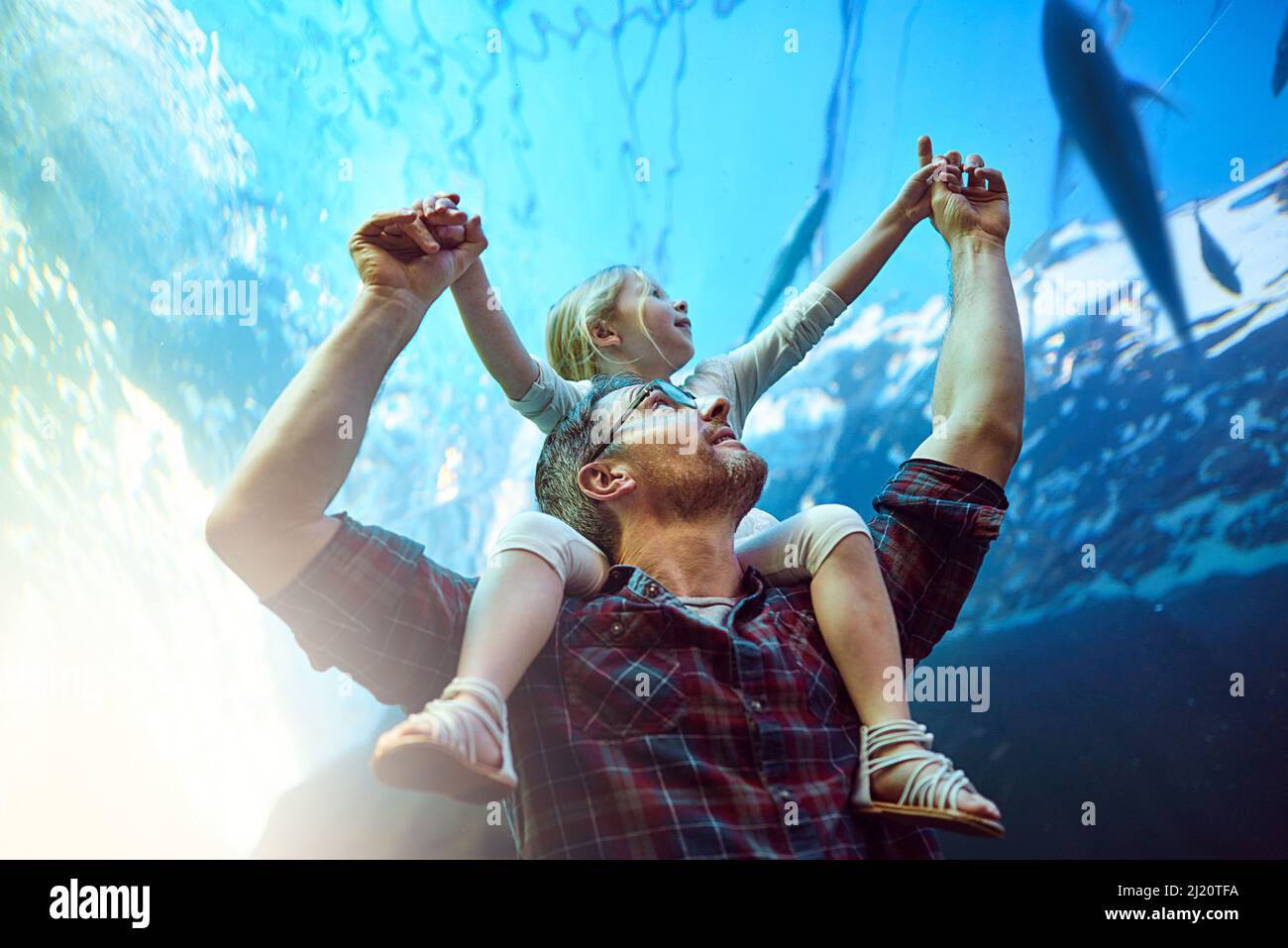 Guarda, quel pesce ti sta ondendo. Scatto corto di un padre e di sua figlia che guarda una mostra in un acquario. Foto Stock