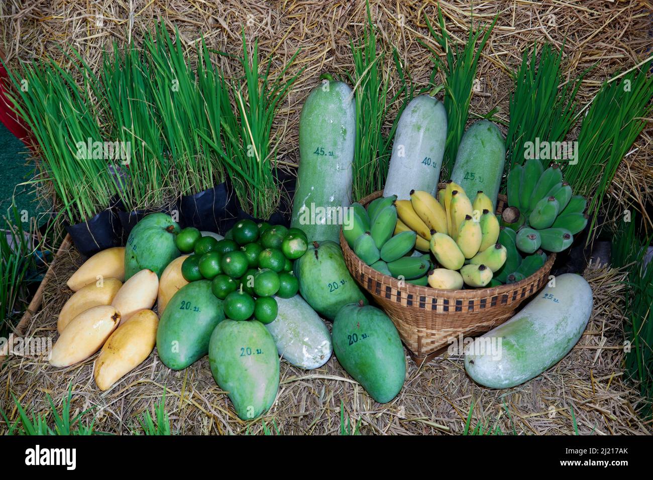 La varietà di frutta cruda e matura su paglia secca Foto Stock