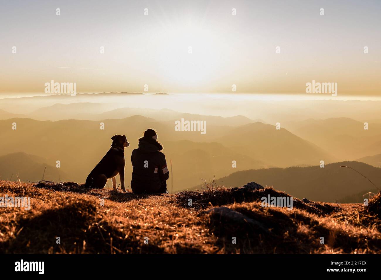 Un cane e una ragazza seduti in cima alla montagna e guardando il tramonto. Foto Stock