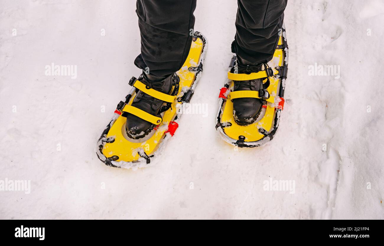 Racchette da neve gialle su scarponi neri. Racchette da neve nella foresta invernale. Gambe e racchette da neve. Foto Stock