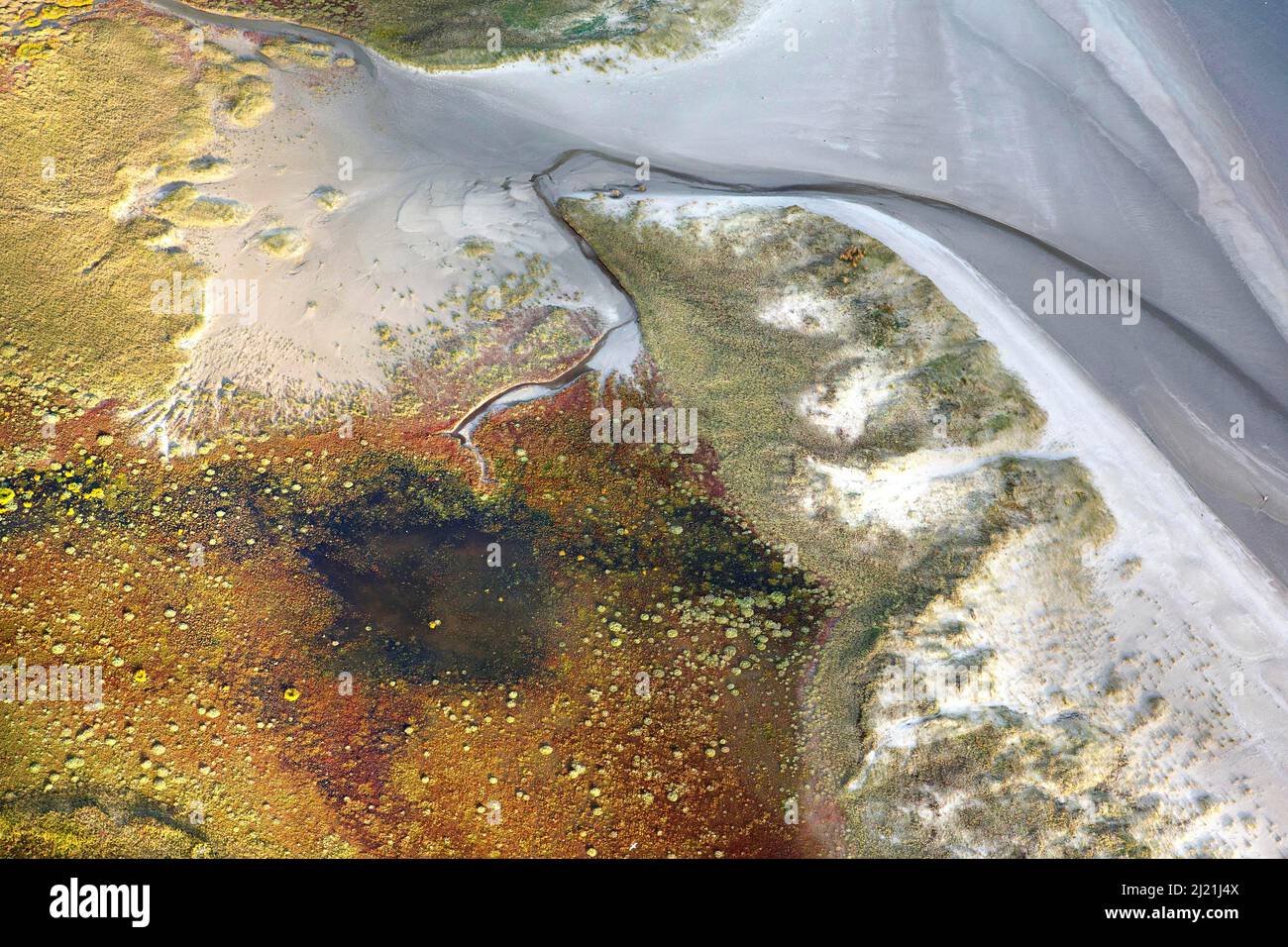 Baai van Heist, vista aerea, Belgio, Fiandre Foto Stock
