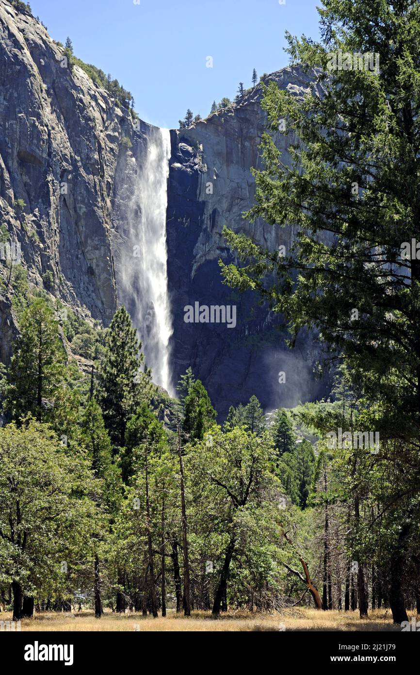 Bridaveil cade nel Parco Nazionale di Yosemite, USA, California, Parco Nazionale di Yosemite Foto Stock