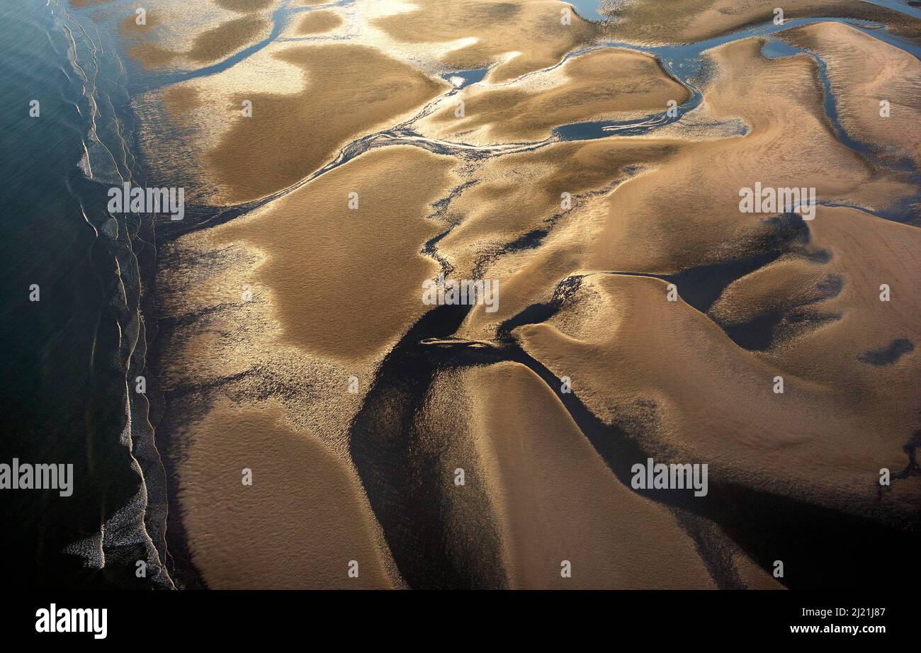Costa del Mare del Nord presso la riserva naturale IJzermonding alla luce della sera, Belgio, Fiandre, Naturreservat IJzermonding Foto Stock