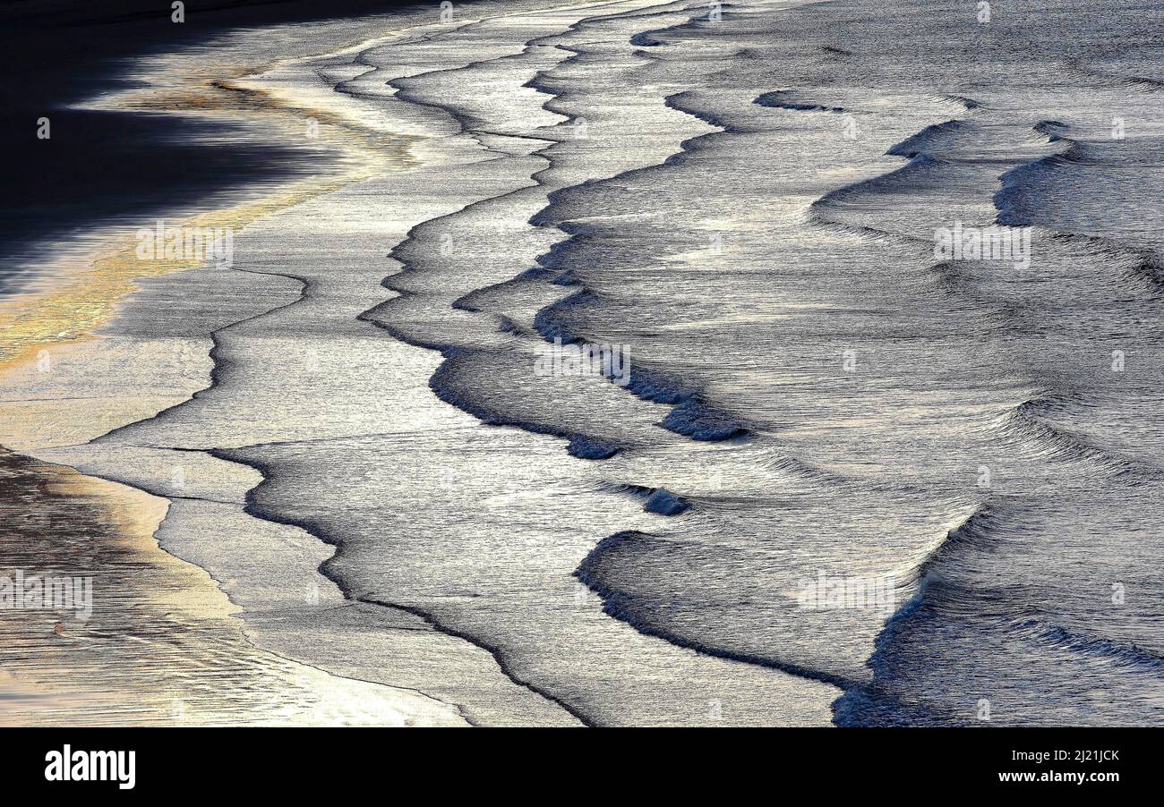 Costa del Mare del Nord presso la riserva naturale IJzermonding alla luce della sera, Belgio, Fiandre, Naturreservat IJzermonding Foto Stock