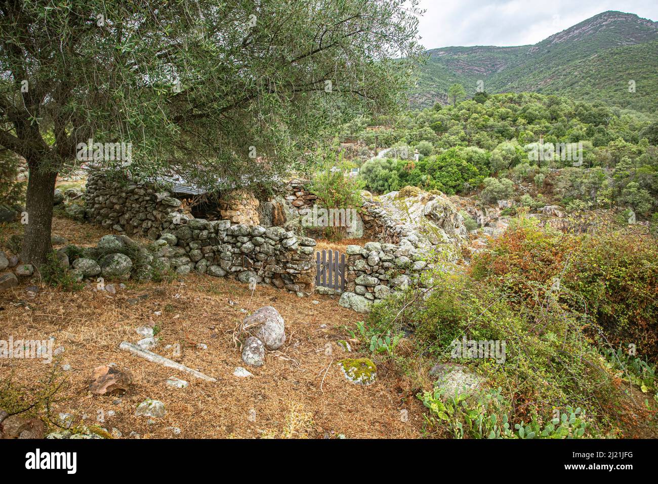 , Vecchia casa in pietra arenaria in scenario di montagna, Francia, Corsica, Manso Foto Stock
