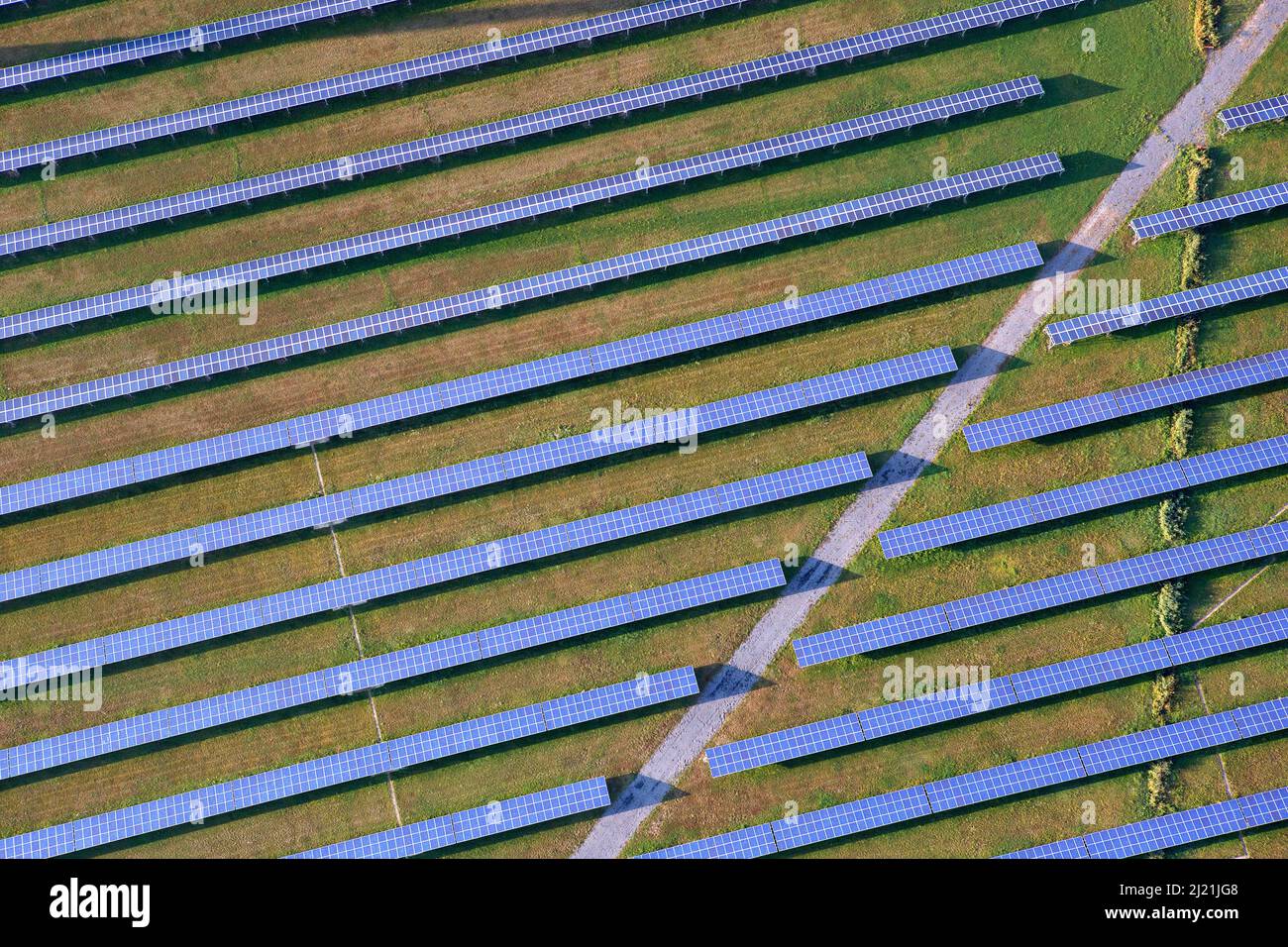 Pannelli solari, vista aerea, Belgio, Fiandre Foto Stock