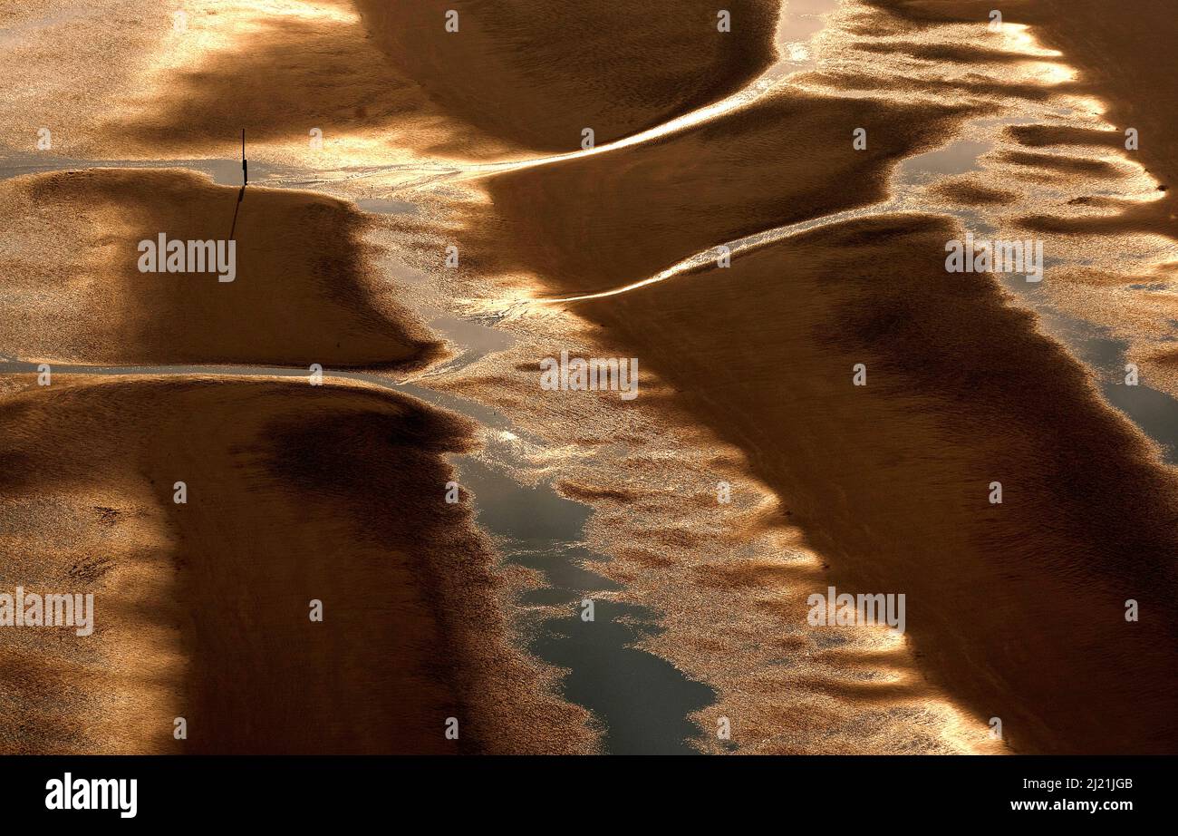 Costa del Mare del Nord presso la riserva naturale IJzermonding alla luce della sera, Belgio, Fiandre, Naturreservat IJzermonding Foto Stock