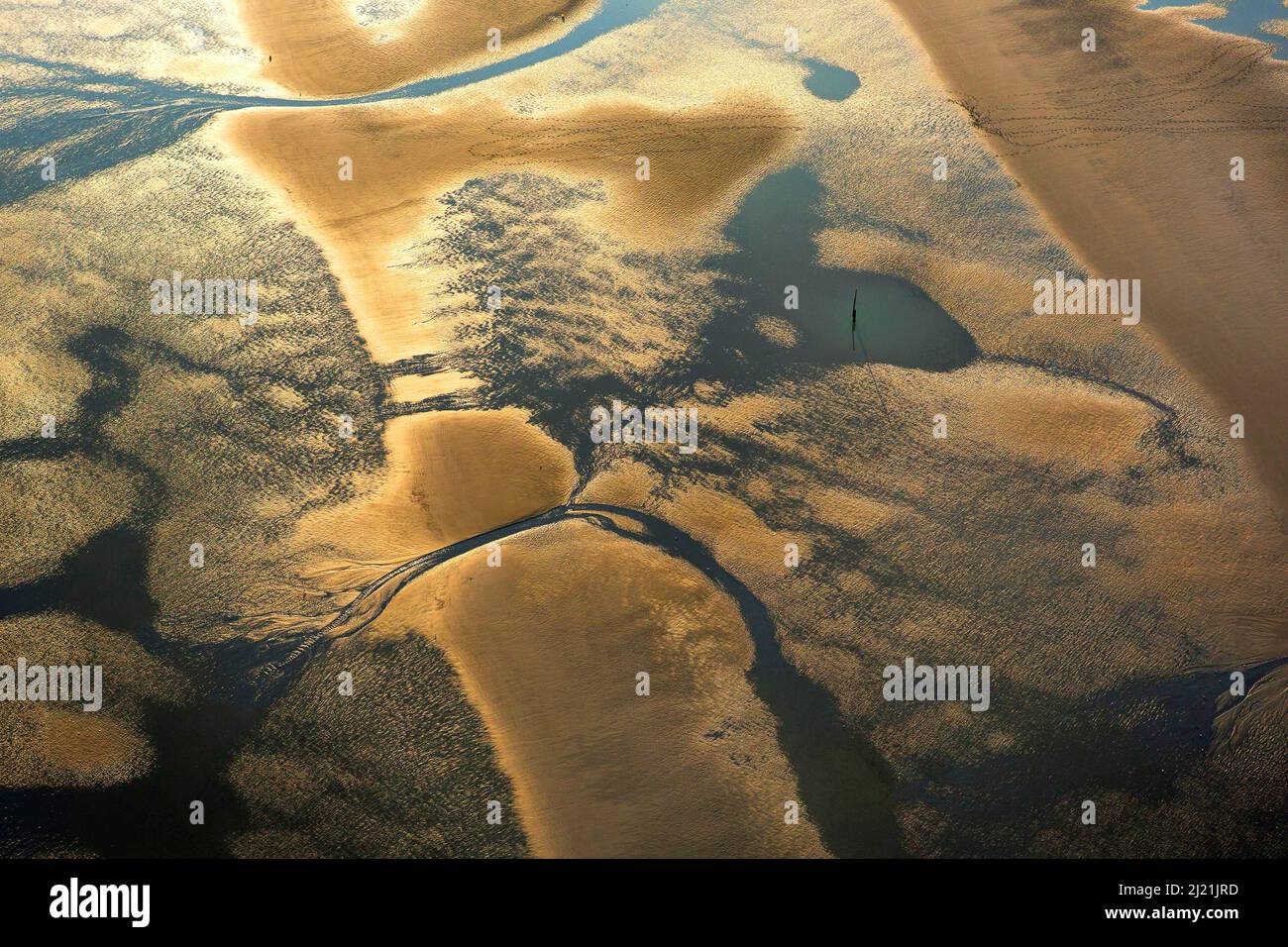 Costa occidentale del Mare del Nord a bassa marea alla luce della sera, vista aerea, Belgio, Fiandre Foto Stock