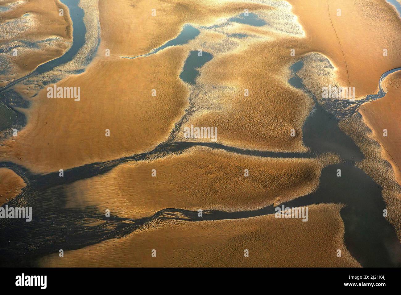 Costa occidentale del Mare del Nord a bassa marea alla luce della sera, vista aerea, Belgio, Fiandre Foto Stock