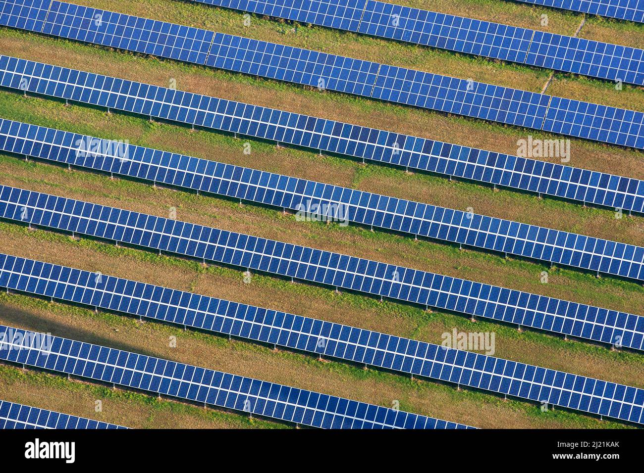 Pannelli solari, vista aerea, Belgio, Fiandre Foto Stock