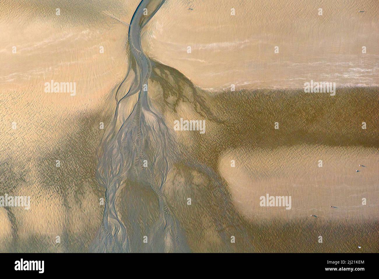 Marea Way sulla costa occidentale del Mare del Nord a bassa marea, vista aerea, Belgio, Fiandre Foto Stock