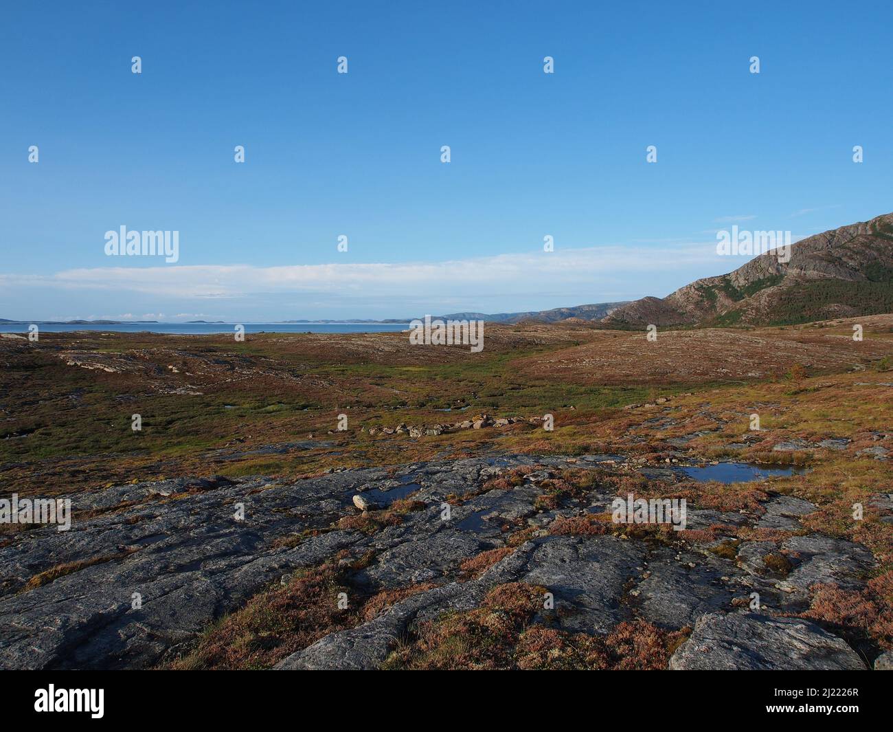 felsige Küste Norwegens Foto Stock