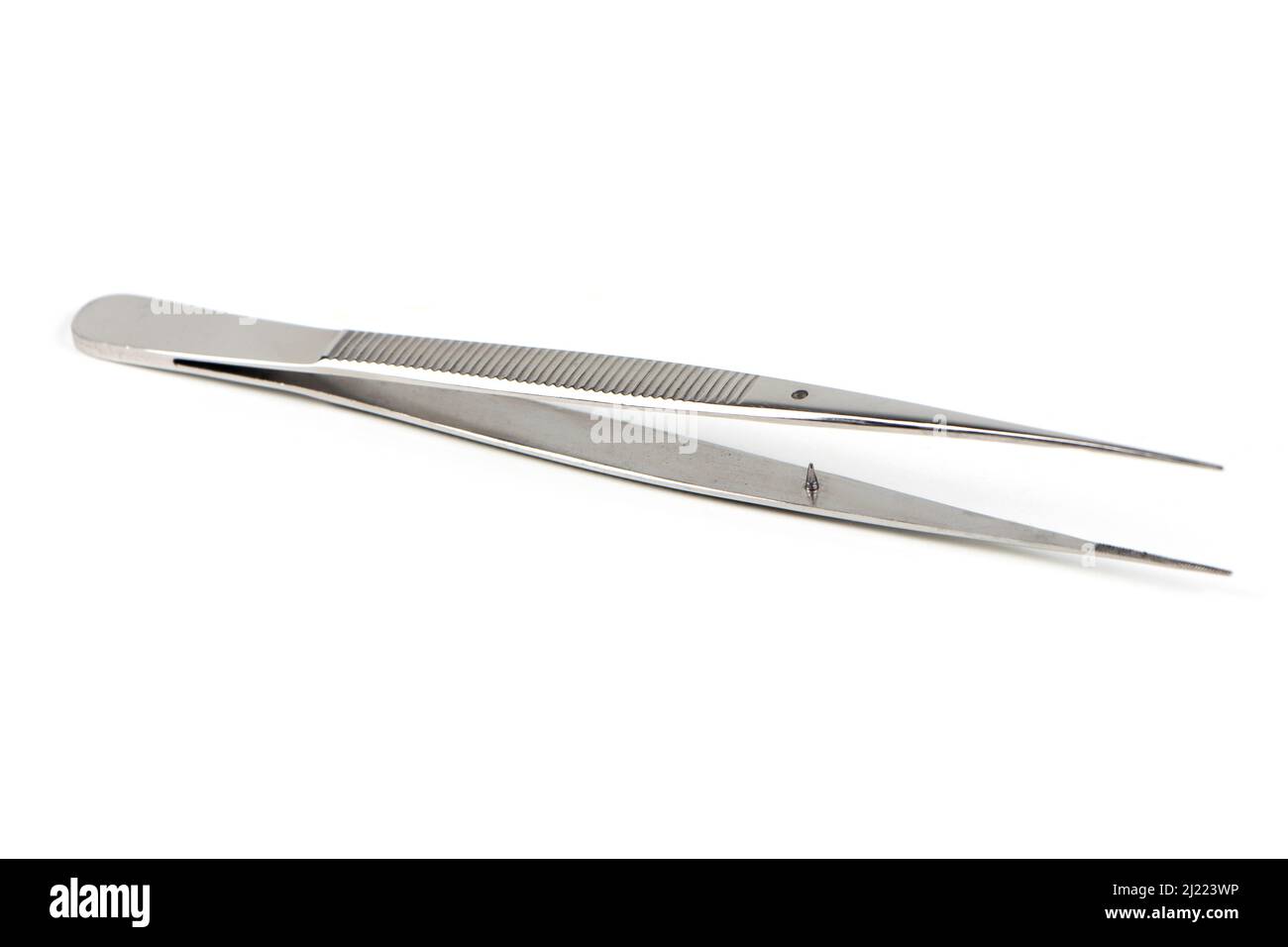 Pinza Debakey Veterinaria 6 Pollici – Strumento Chirurgico Dentale Atraumatico DDP