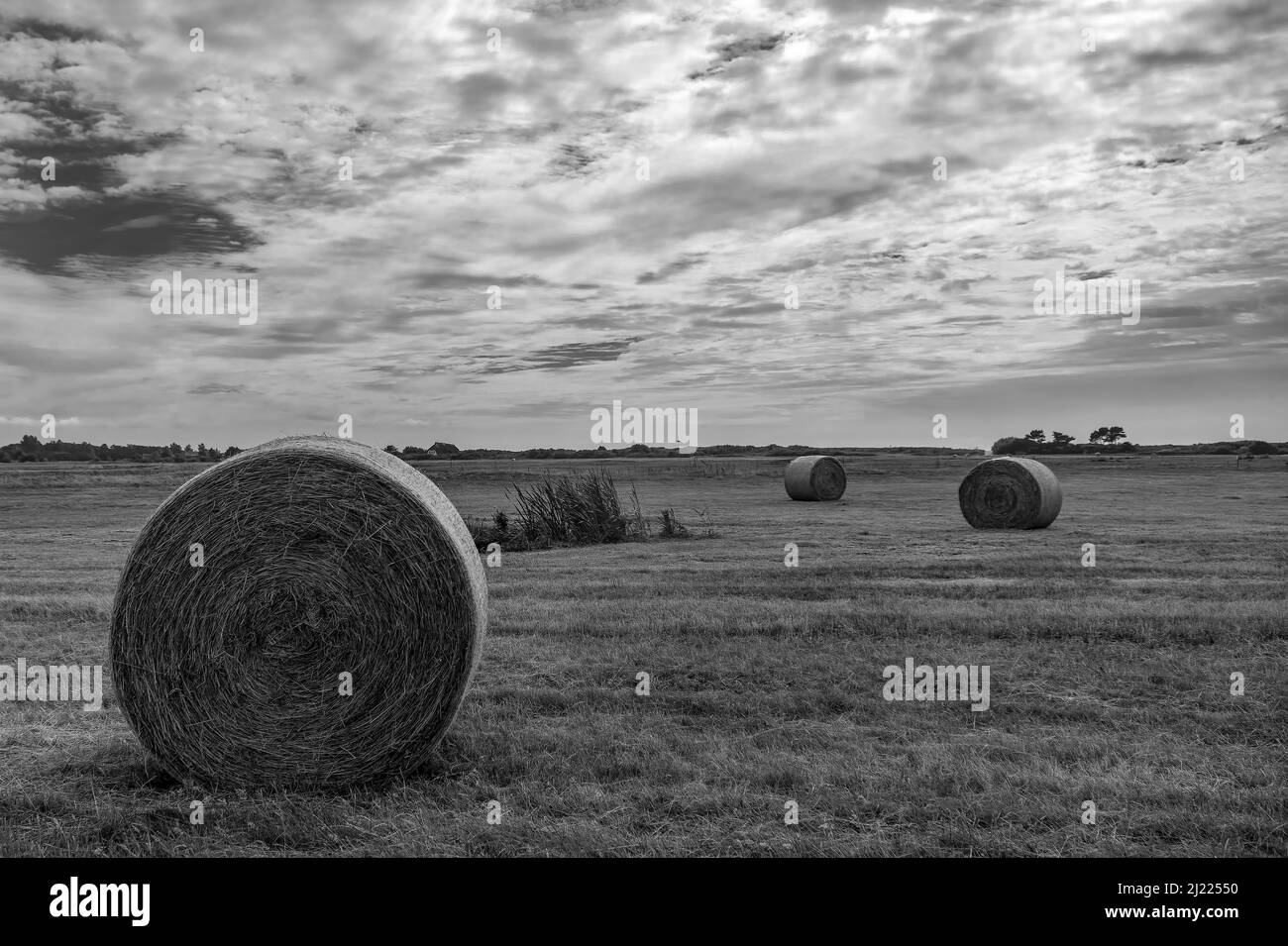 Una scala di grigi di una balla di hays isolato su un ampio prato sotto il cielo nuvoloso Foto Stock