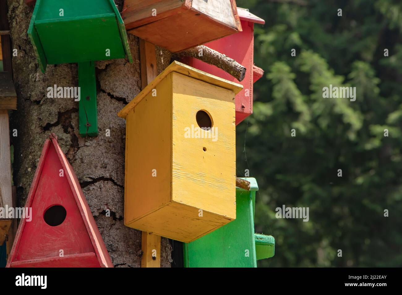 Raccolta di legno colorato birdhouses Foto Stock