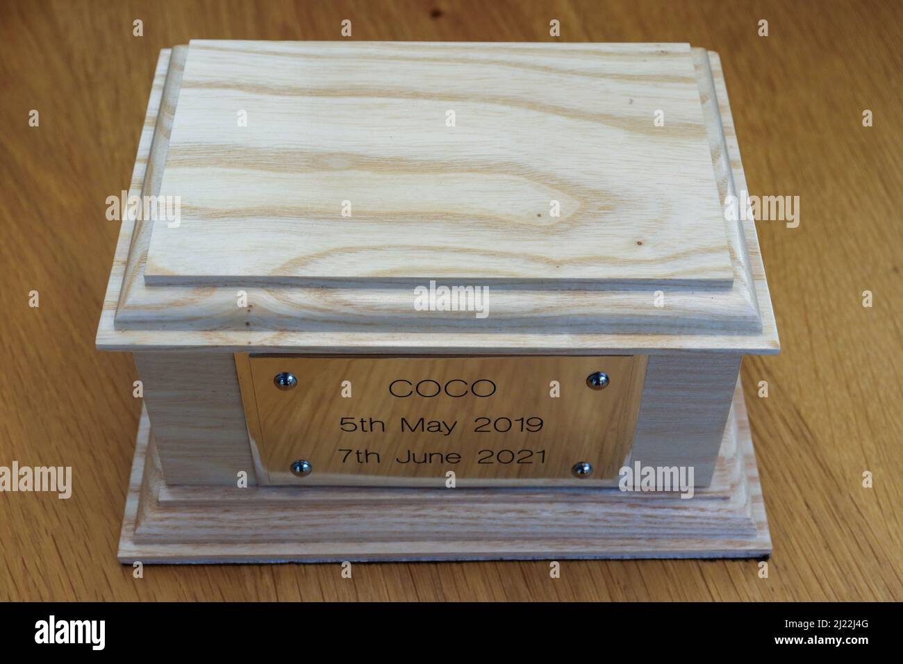 Ceneri animali in un'urna di legno Foto Stock