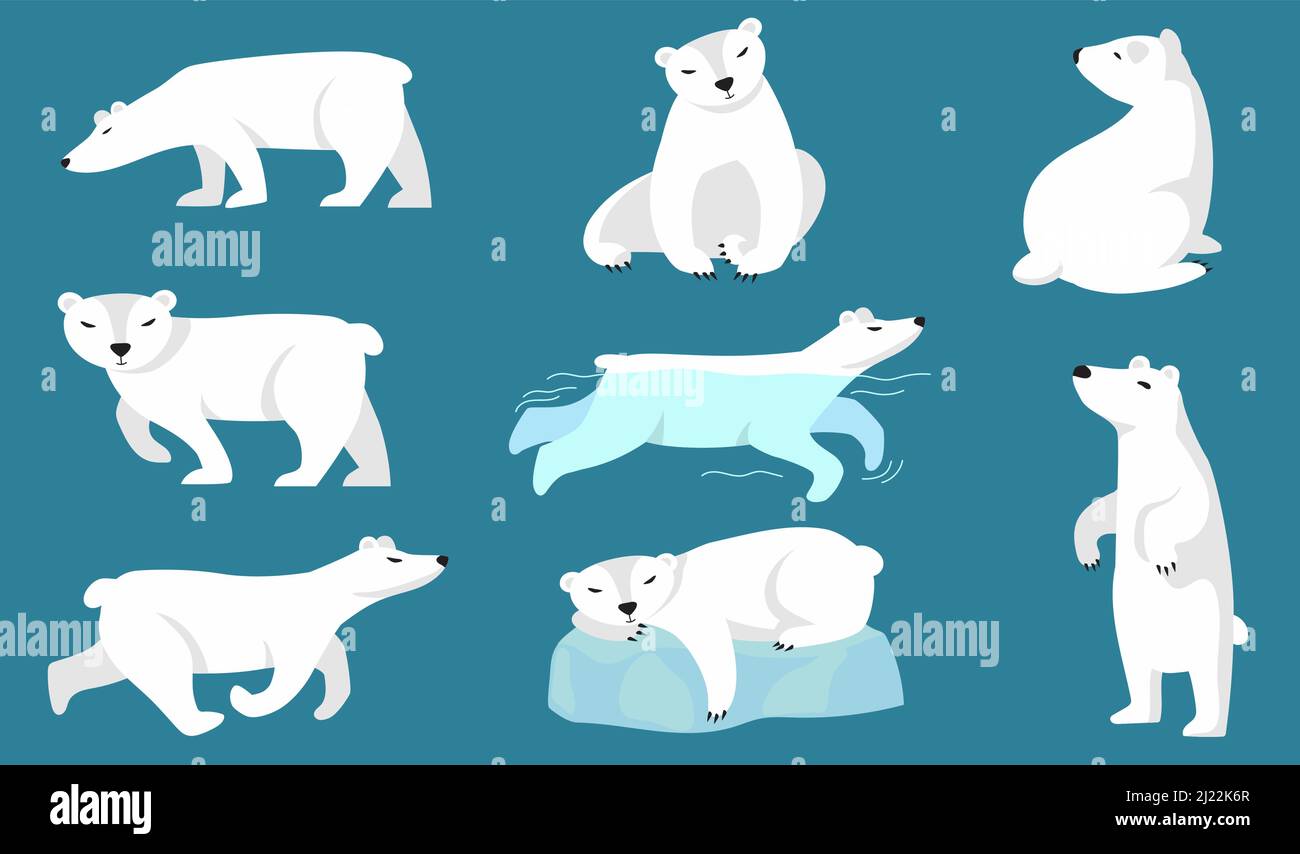 Set di orsi polari. Carino orso artico bianco camminare, correre, nuotare, sedersi, dormire su ghiaccio. Illustrazione vettoriale per zoo, carattere invernale, nord w Illustrazione Vettoriale