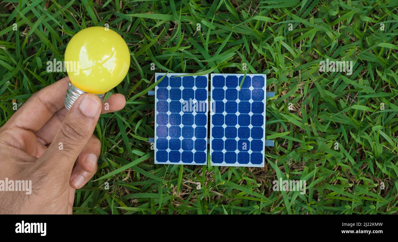 Tenendo una lampada accanto ad un pannello solare fotovoltaico su sfondo di erba. Concetto di energia pulita alternativa. Foto Stock