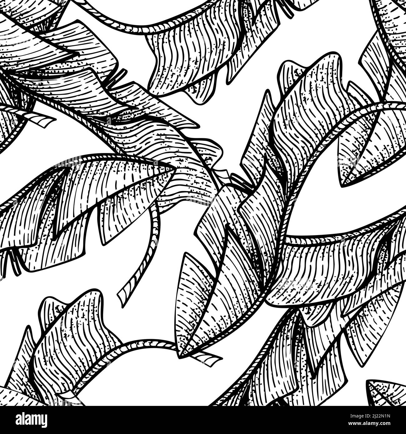 Foglia di banana tropicale senza giunture pattern.Jungle lascia sfondo. Incisione ripetuta texture esotica design per stampa, tessuto, carta da imballaggio, moda, Illustrazione Vettoriale