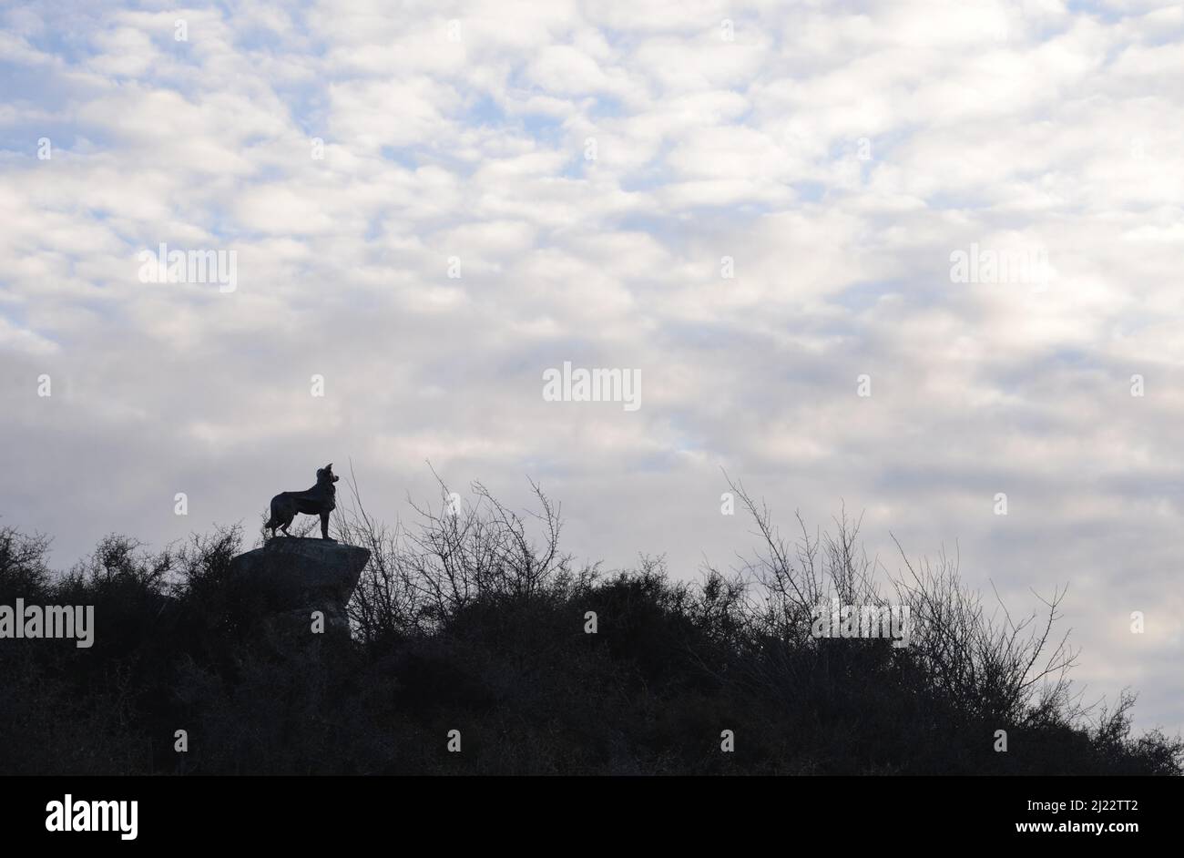 La scultura di un cane da pastore Foto Stock