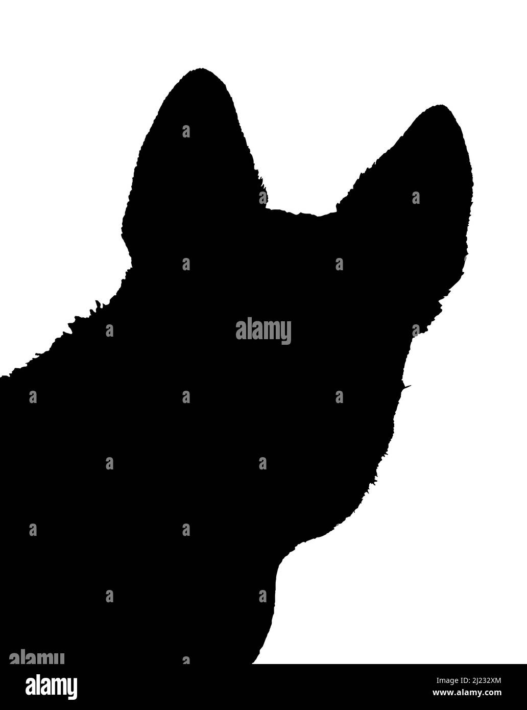 ritratto del cane, silhouette su bianco Illustrazione Vettoriale