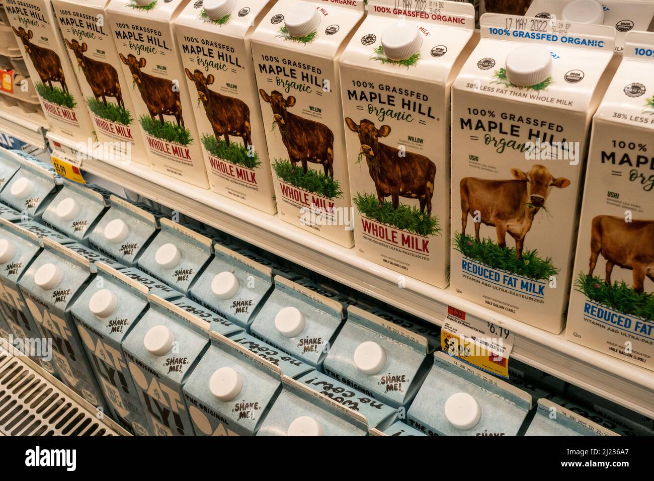 Latte biologico Grass-FED Maple Hill e bevande a base di piante di Oatley in un supermercato più fresco a New York martedì 22 marzo 2022. (© Richard B. Levine) Foto Stock