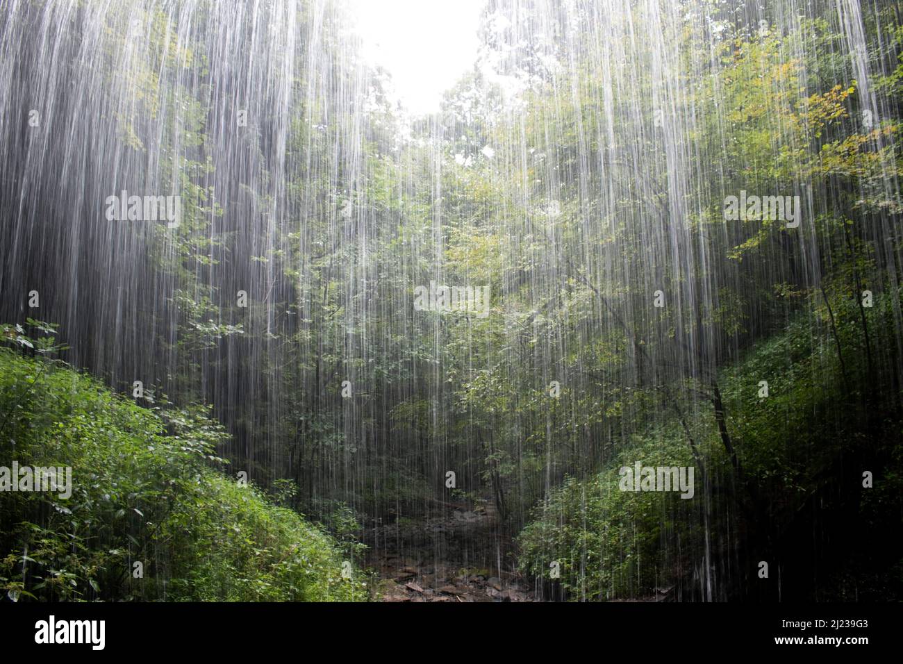 Sembra che la pioggia estiva si trovi dietro le cascate Buttermilk Water Falls nella Pennsylvania occidentale Foto Stock