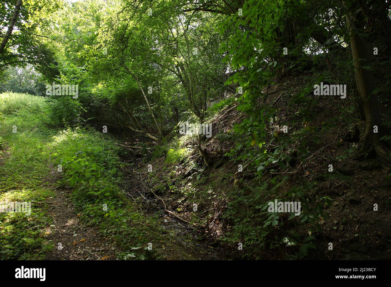 Spalter Hügelland / Spalter Hills / Foto Stock