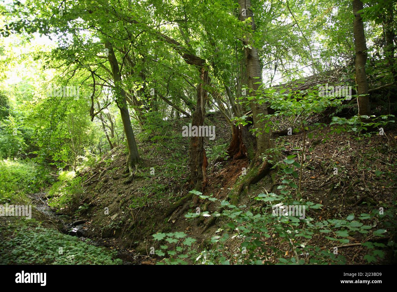 Spalter Hügelland / Spalter Hills / Foto Stock