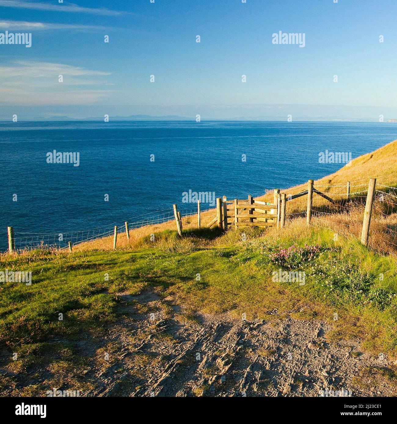 Ceredigion Coastal percorso vicino a Mwnt in Ceredigion Galles Foto Stock