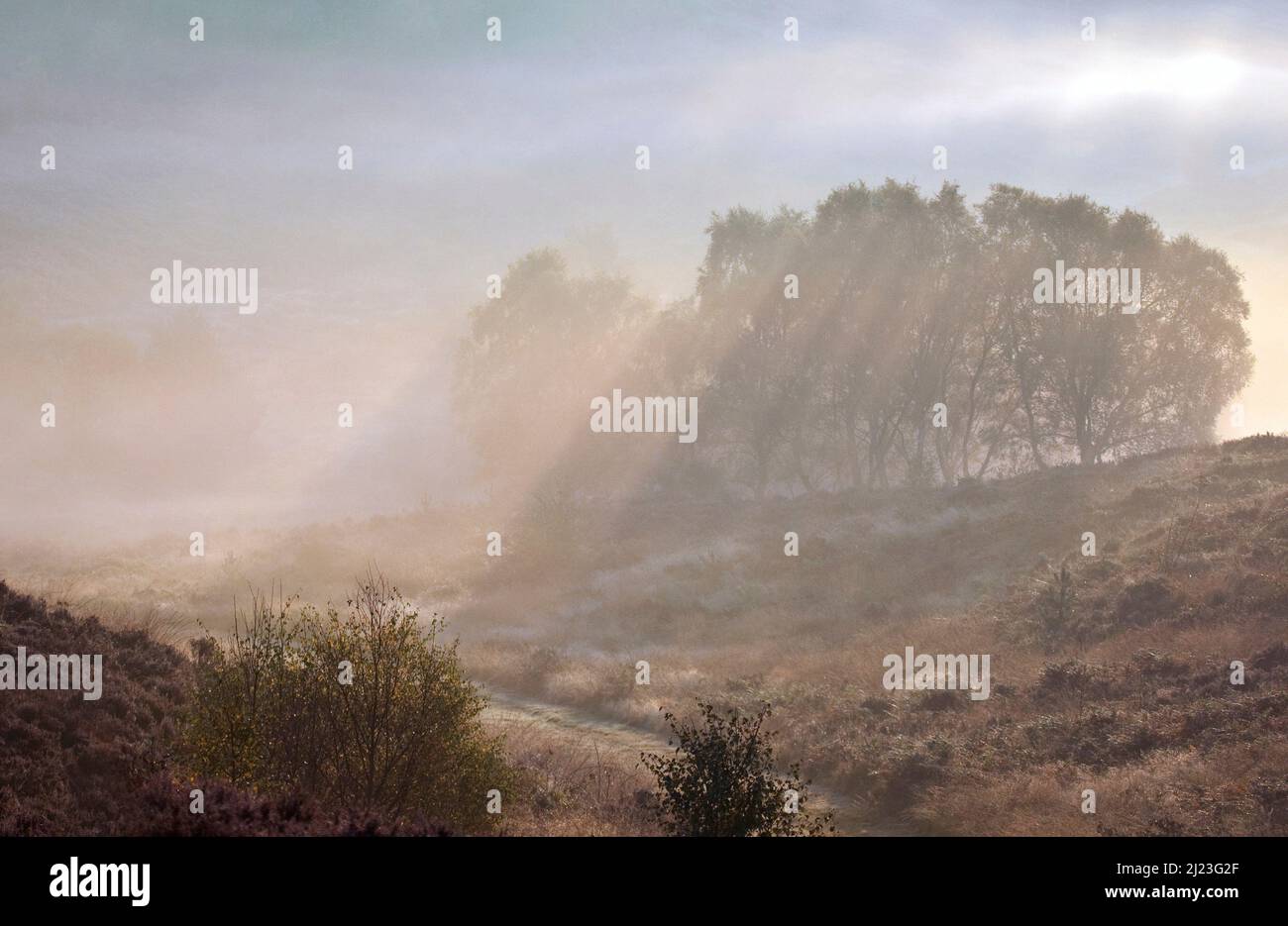 Nebbie sulle pendici delle colline ondulate sopra la valle di Sherbrook in autunno sulla zona di Cannock Chase di bellezza naturale eccezionale Staffordshire Foto Stock