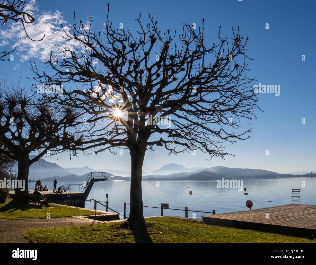 Zug, Svizzera - 31 dicembre 2021: Albero senza fronzetti accanto al lago con raggi solari dietro i rami Foto Stock