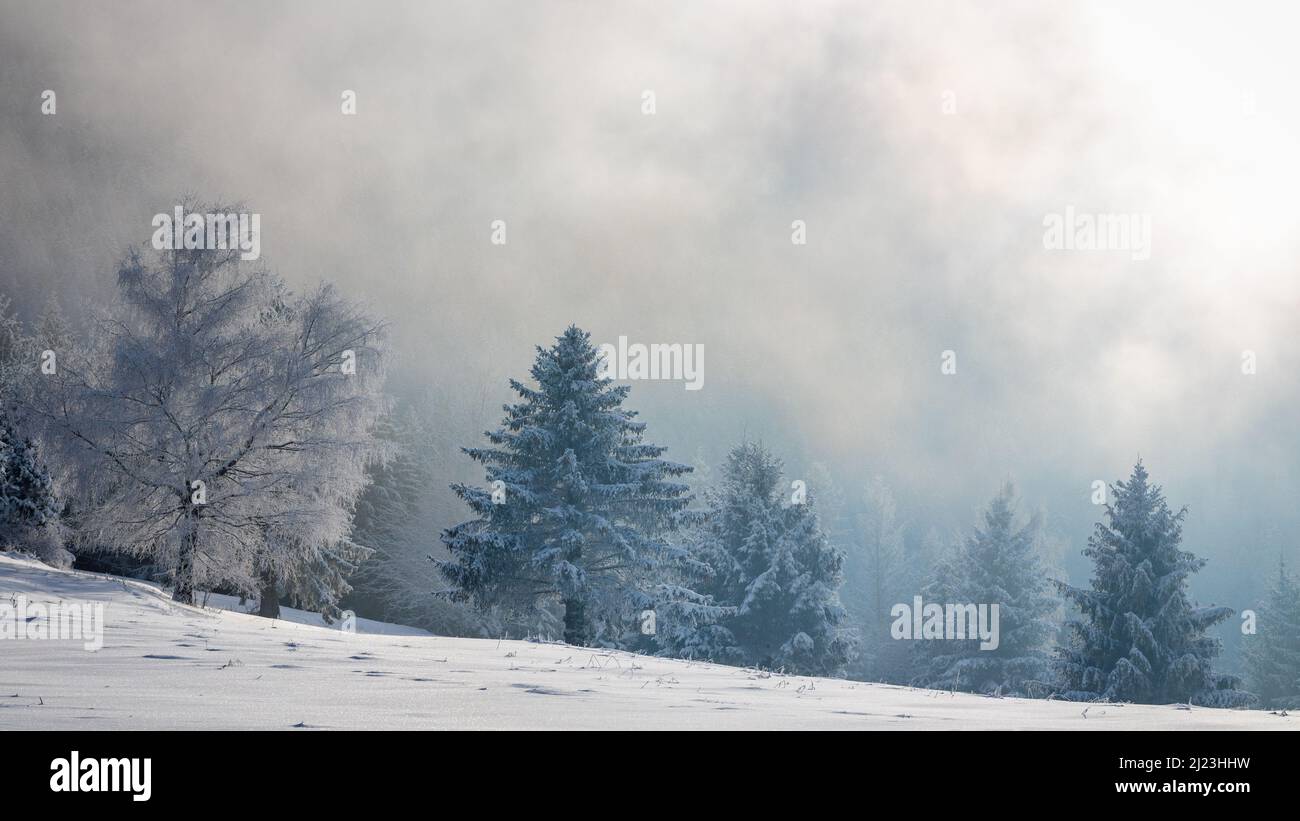 Vista su un paesaggio invernale innevato con alberi ricoperti di ghiaccio. Il parco nazionale Mala Fatra nel nord-ovest della Slovacchia, in Europa. Foto Stock