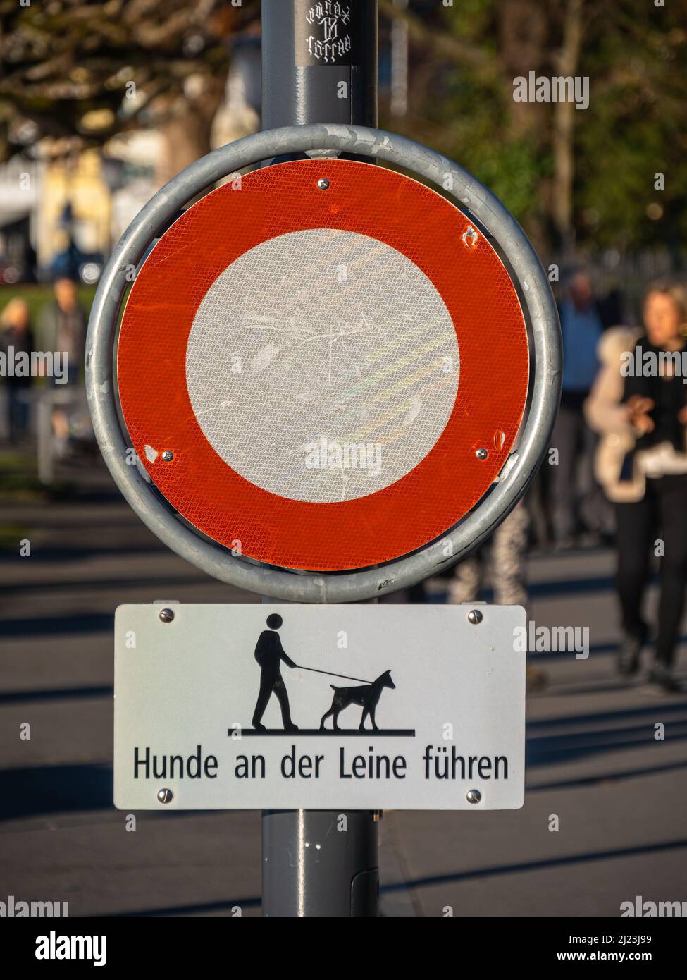 Zug, Svizzera - 31 dicembre 2021: Focus sul segno dove i cani non sono ammessi per essere liberi, il testo sul segno sta dicendo che i cani dovrebbero essere sul Foto Stock