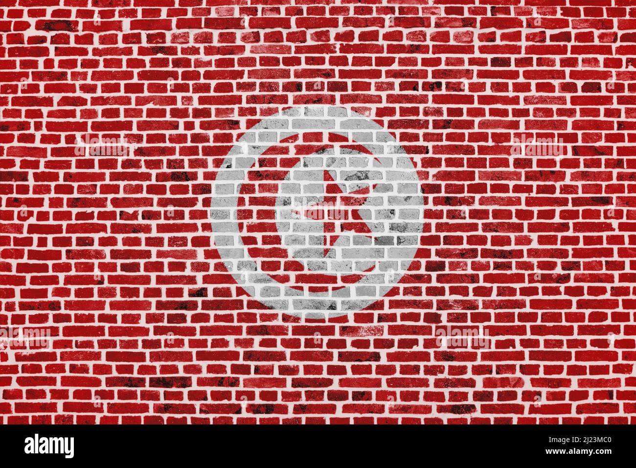 Primo piano su un muro di mattoni con la bandiera della Tunisia dipinta su di esso. Foto Stock