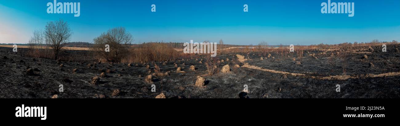 Panorama del paesaggio incendiato, le conseguenze delle ostilità Foto Stock