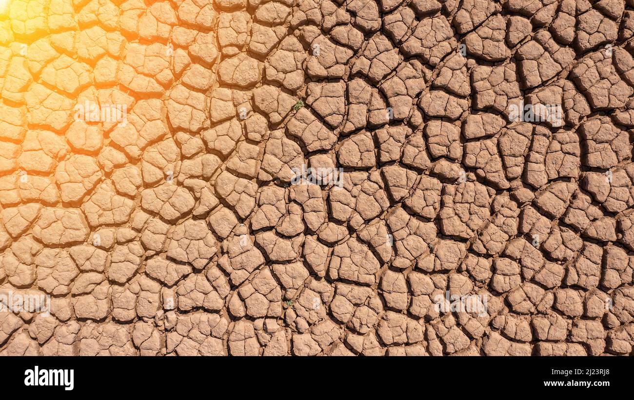 Estati secche e calde, suolo incrinato, terra su campo con alcune piccole, piante verdi. Texture di terra durante la siccità. Sole. Vista dall'alto. Foto Stock