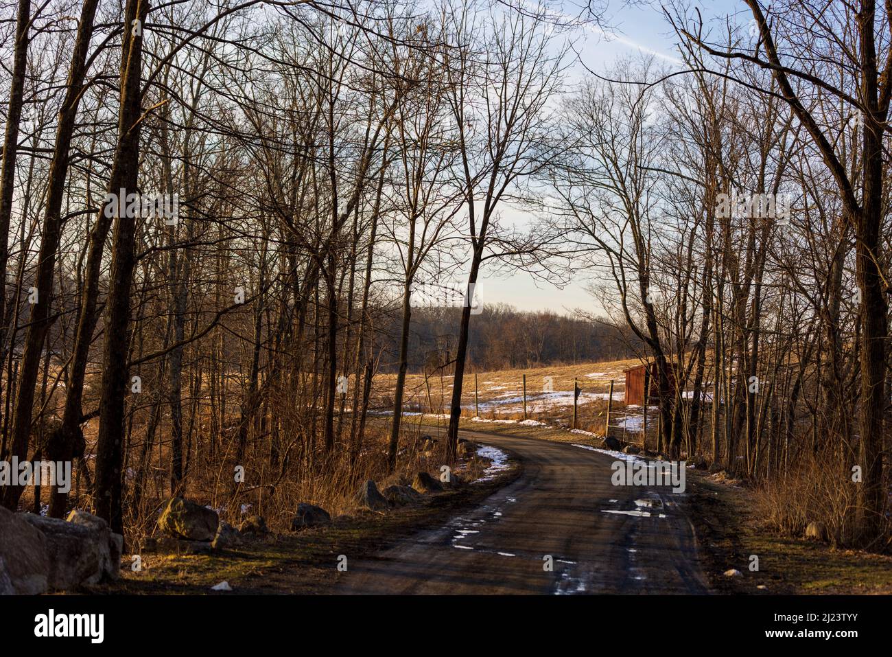 Il sole colpisce i campi dorati lontani davanti alla strada tortuosa attraverso la foresta invernale Foto Stock