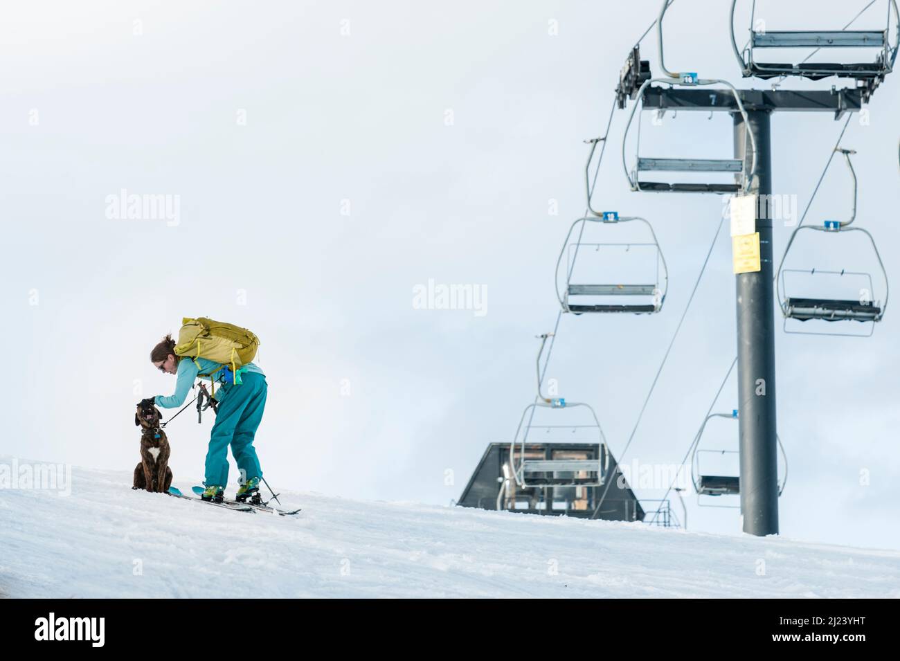 Giovane donna avventurosa con il suo cane Foto Stock