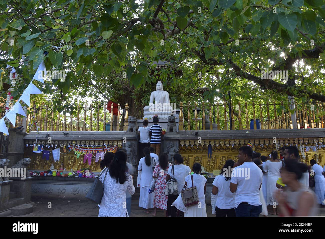 I fedeli che si accingono a dare rispetto all'immagine del grande Buddha reclinante al tempio Kelaniya Raja Maha Vihara, vicino a Colombo Foto Stock