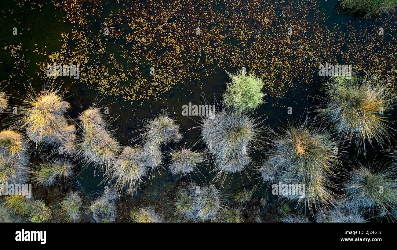 Che fa parte del bacino di Murray Darling dell'Australia, Fletchers Creek, una volta riempito da inondazioni periodiche è ora artificialmente annacquato per tentare la Th Foto Stock