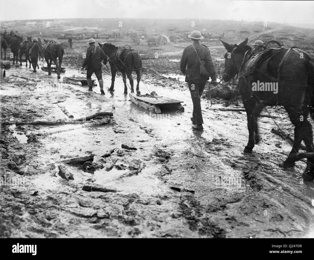 Le slitte, normalmente utilizzate per il trasporto di feriti, sono trascinate da cavalli su terreni fangosi, a causa del maltempo, a le Sars, Pas de Calais sul fronte Somme, ottobre 1916. Foto Stock